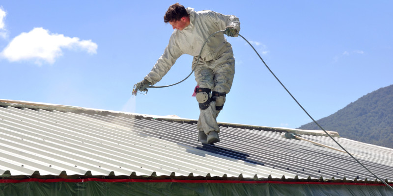 Roof Painting in Columbus, Ohio