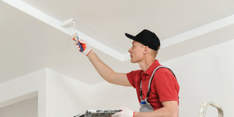 Do You Want to Paint Your House?